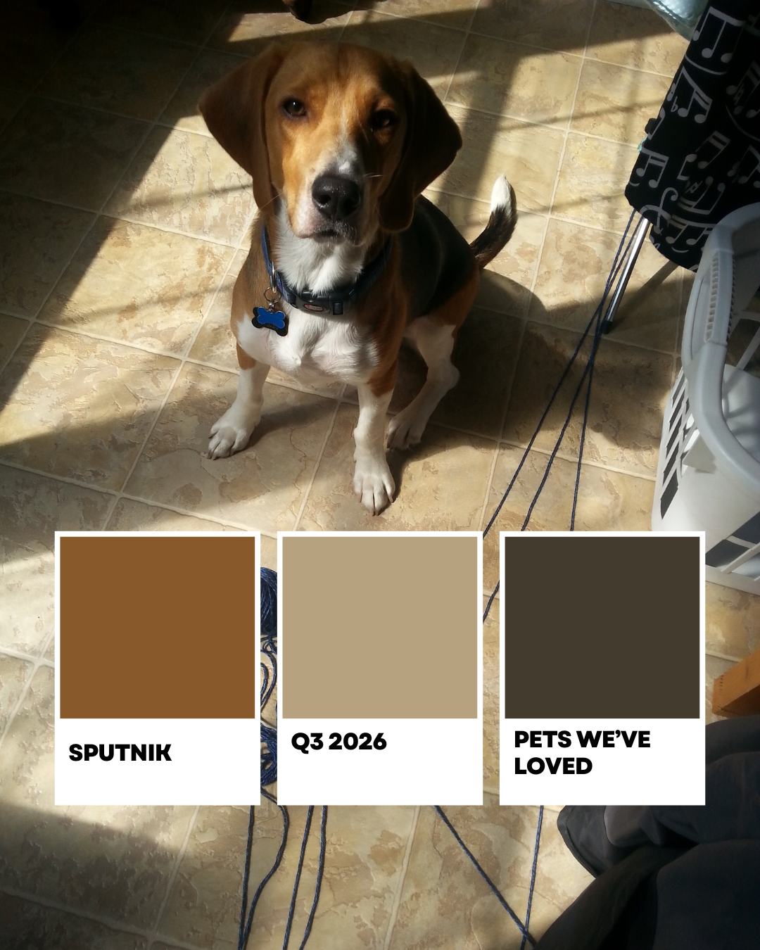 Sputnik - Pets We Have Loved Q3 - Pre-Order